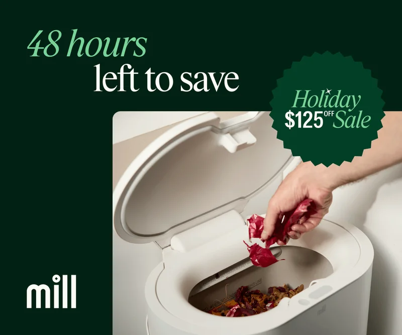 48 hours left to save. Holiday Sale, $125 off