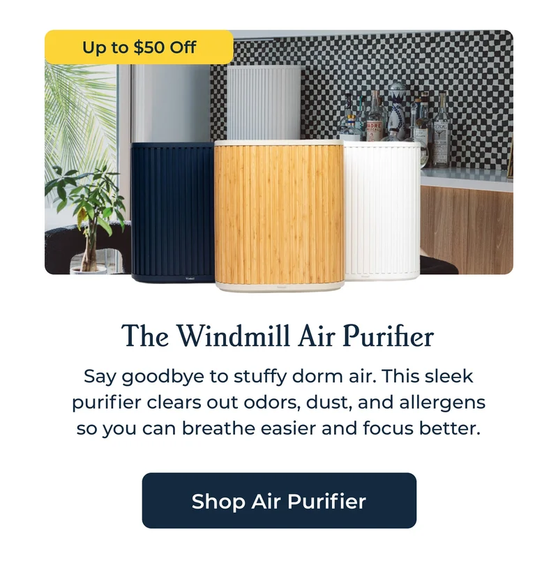 The Windmill Air Purifier