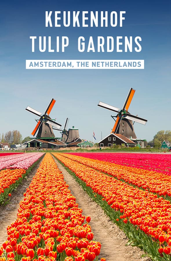 AMSTERDAM, THE NETHERLANDS