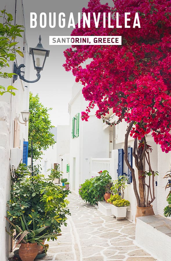 SANTORINI, GREECE
