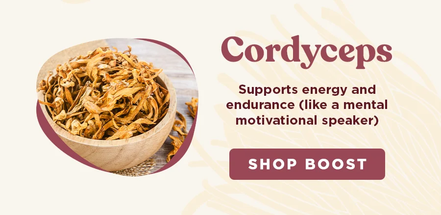 Cordycepts: supports energy and endurance.