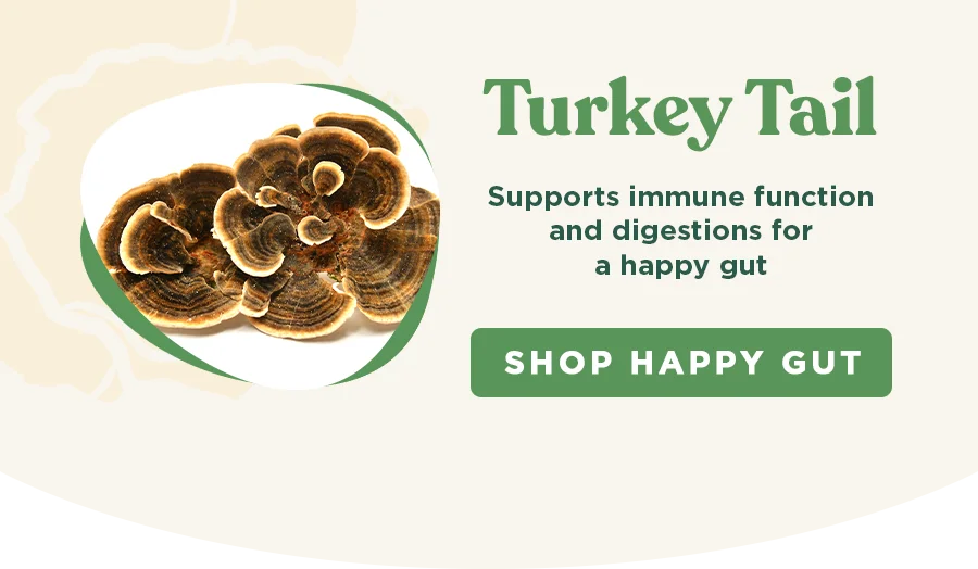 Turkey Tail: Supports immune function and digestion.