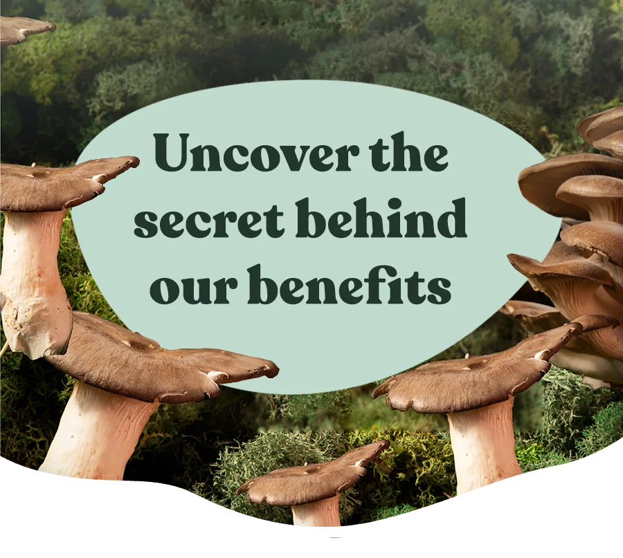 Uncover the secret behind our benefits