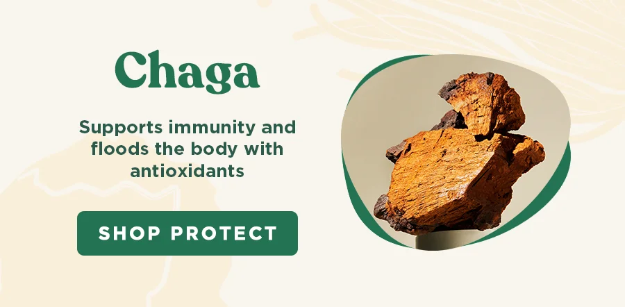 Chaga: supports immunity and full of antioxidant properties.