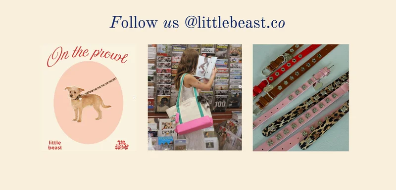 Follow us on Instagram