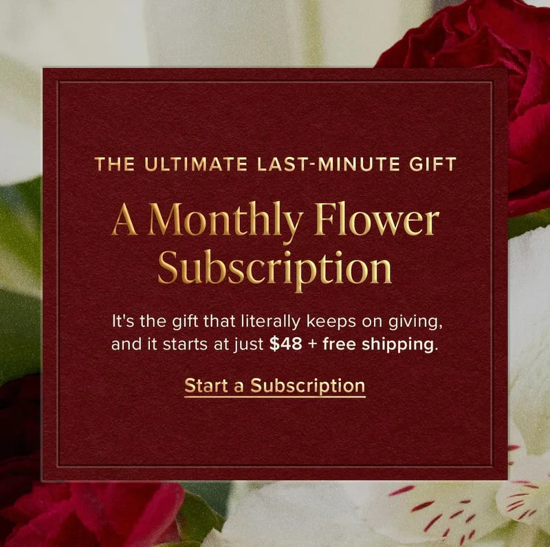 The Ultimate Last-Minute Gift: A Monthly Flower Subscription. It's the gift that literally keeps on giving and it starts at just $48 + free shipping. Start a Subscription.