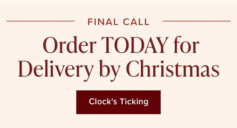 Final Call: Order Today for Delivery by Christmas. Clock's Ticking