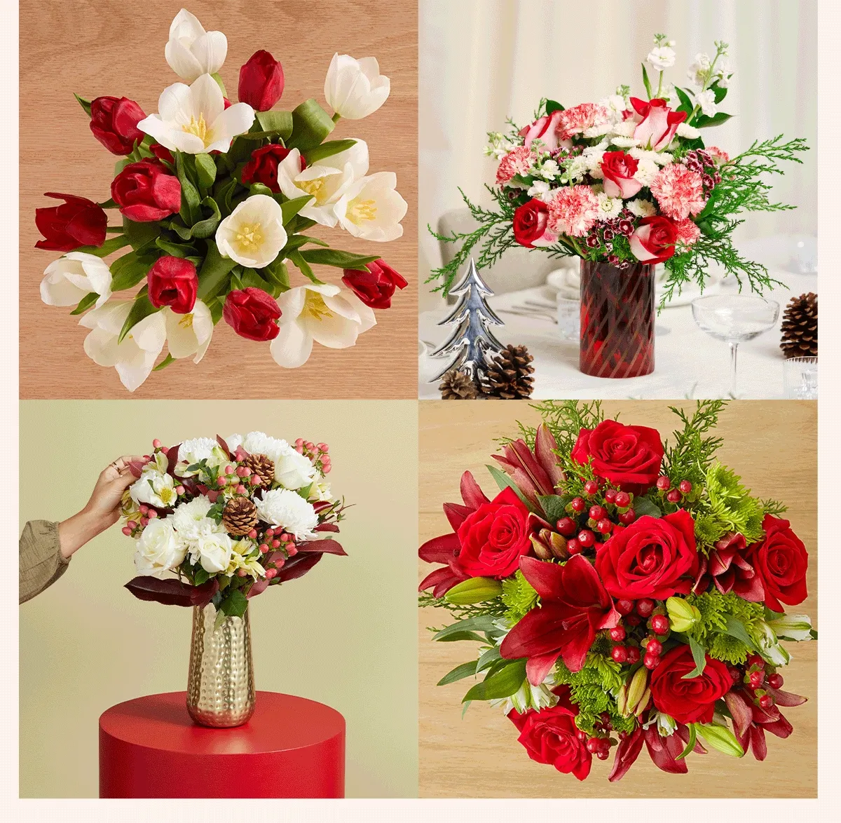Images of Christmas flowers