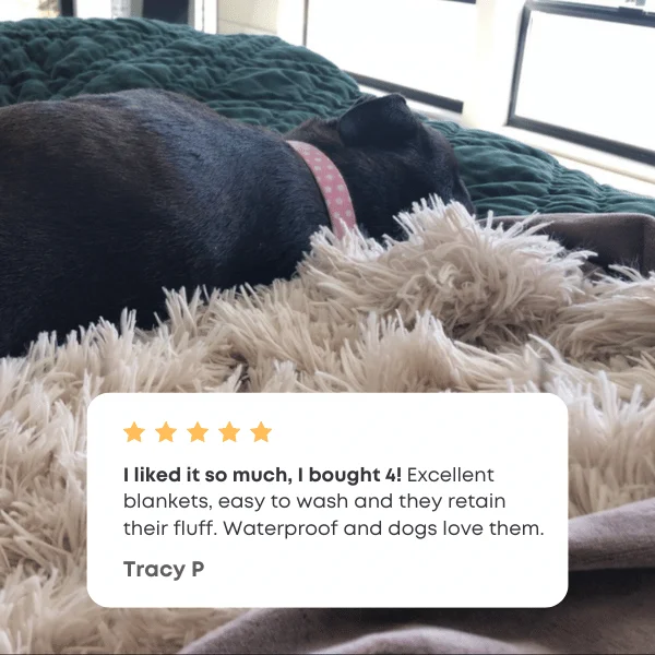 Pawproof throw blanket
