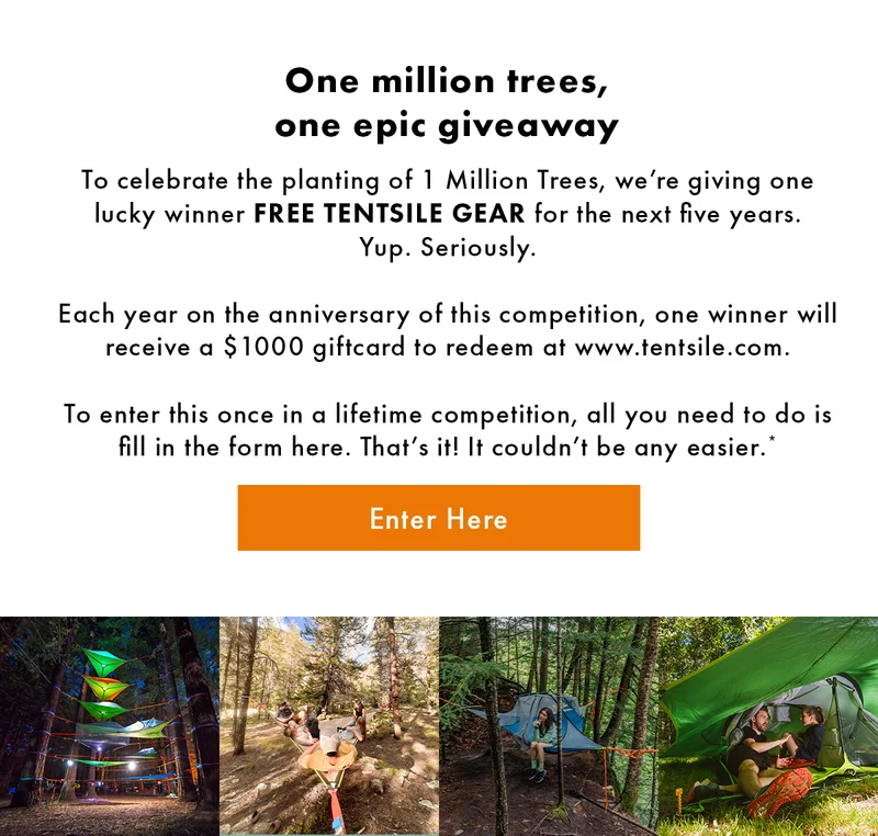 Enter Here