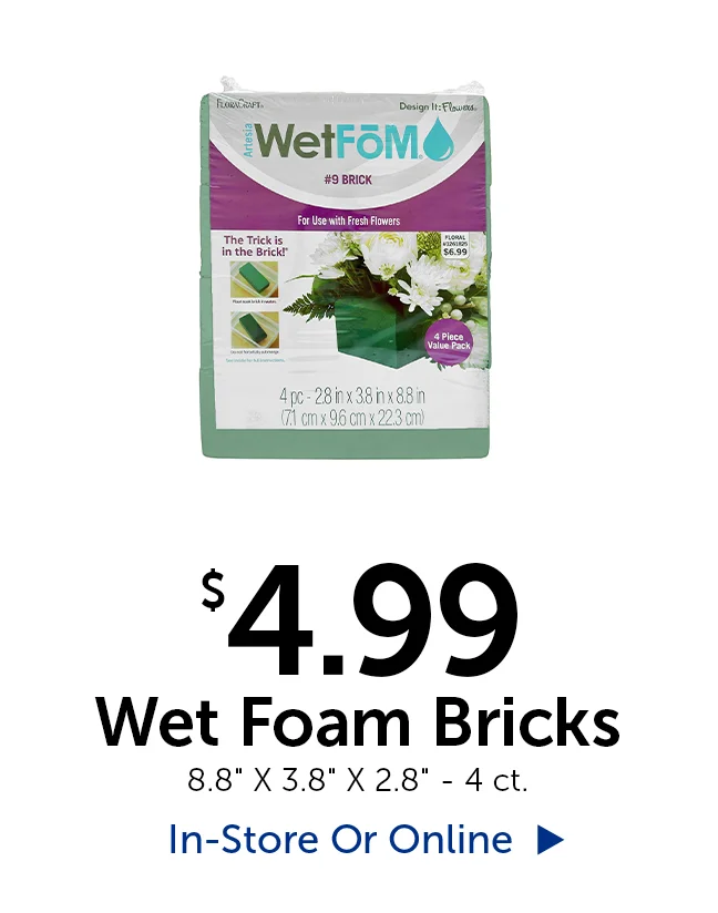 $4.99 Wet Foam Bricks - 4 ct.