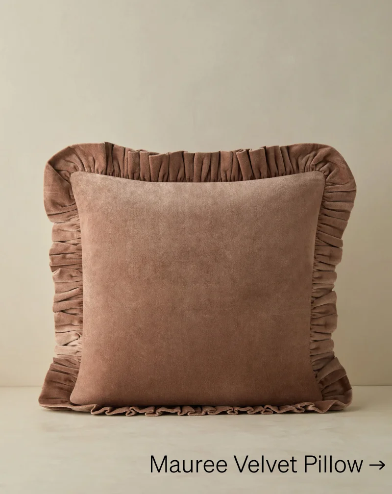 Shop Mauree Velvet Pillow