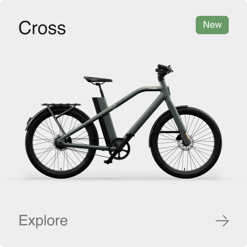 A photograph render of a Cowboy Cross