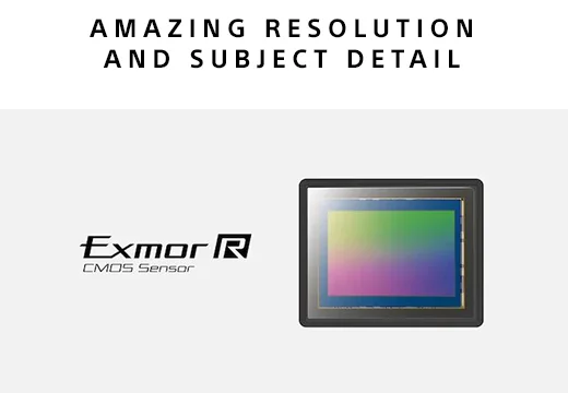 AMAZING RESOLUTION AND SUBJECT DETAILS