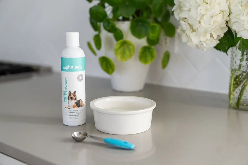 Image of Magic Mouthwash™ For Dogs
