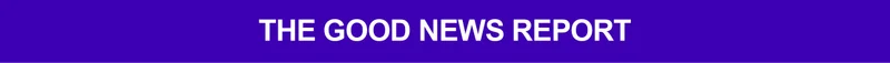THE GOOD NEWS REPORT