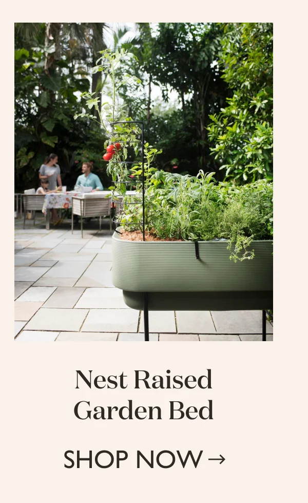 Shop the Nest Raised Garden Bed