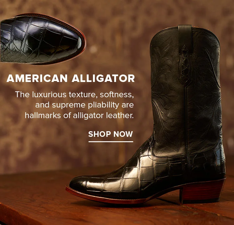 AMERICAN ALLIGATOR | SHOP NOW