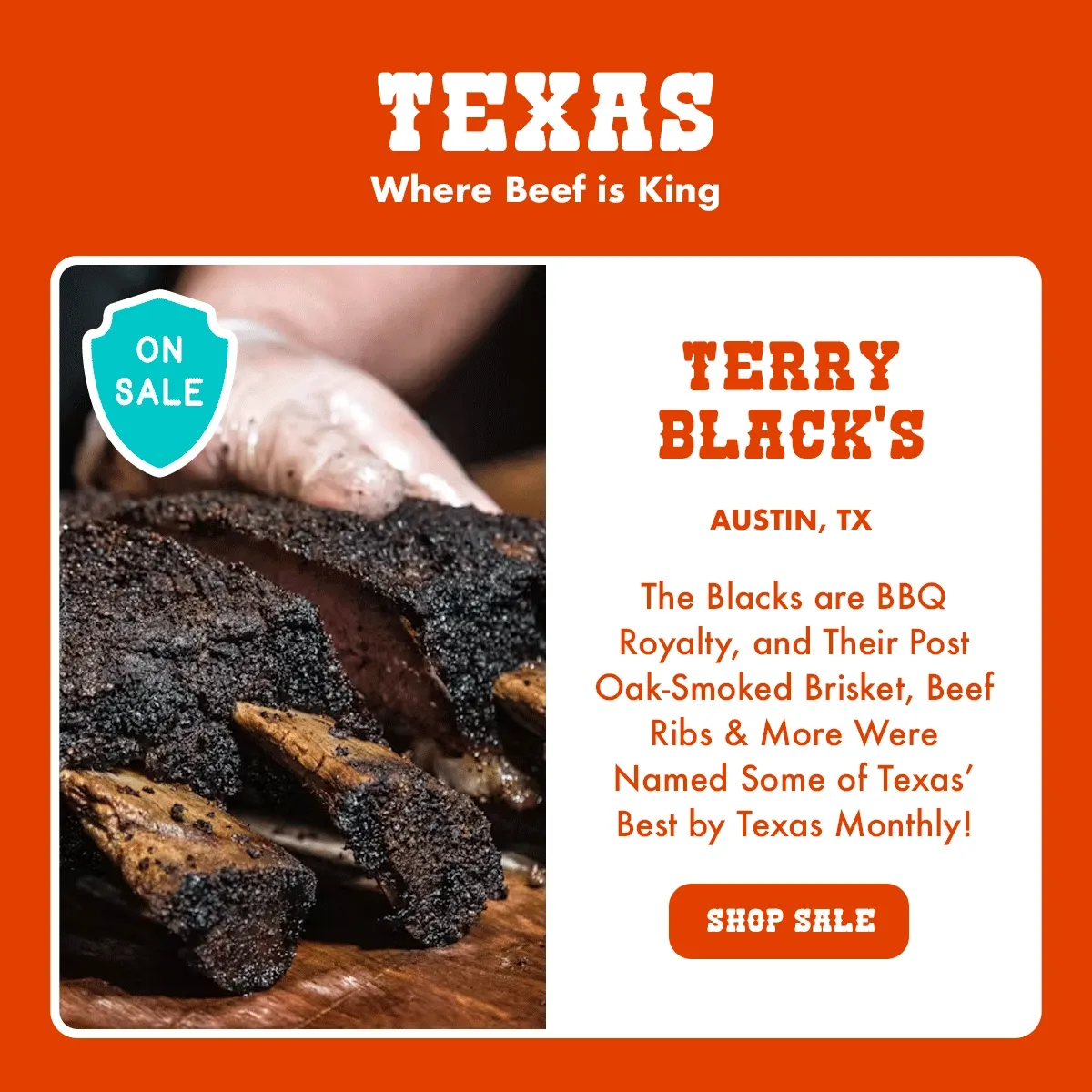Terry Black's