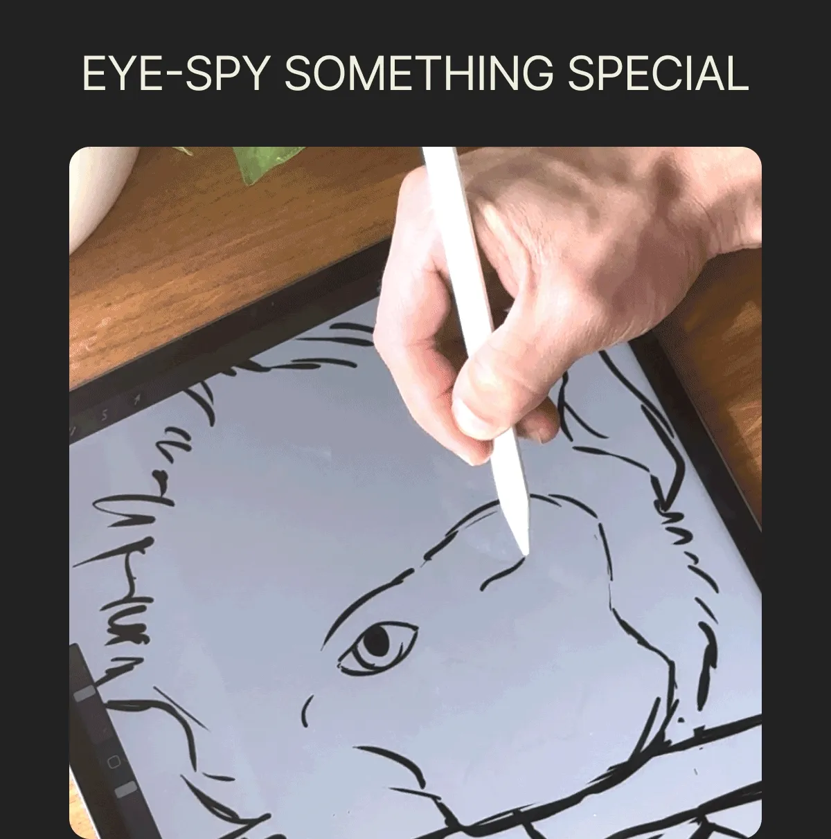 EYE-SPY SOMETHING SPECIAL