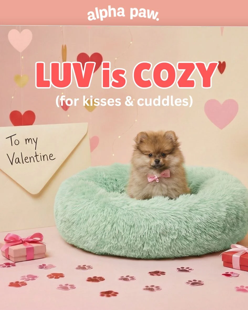 Cozy Bed