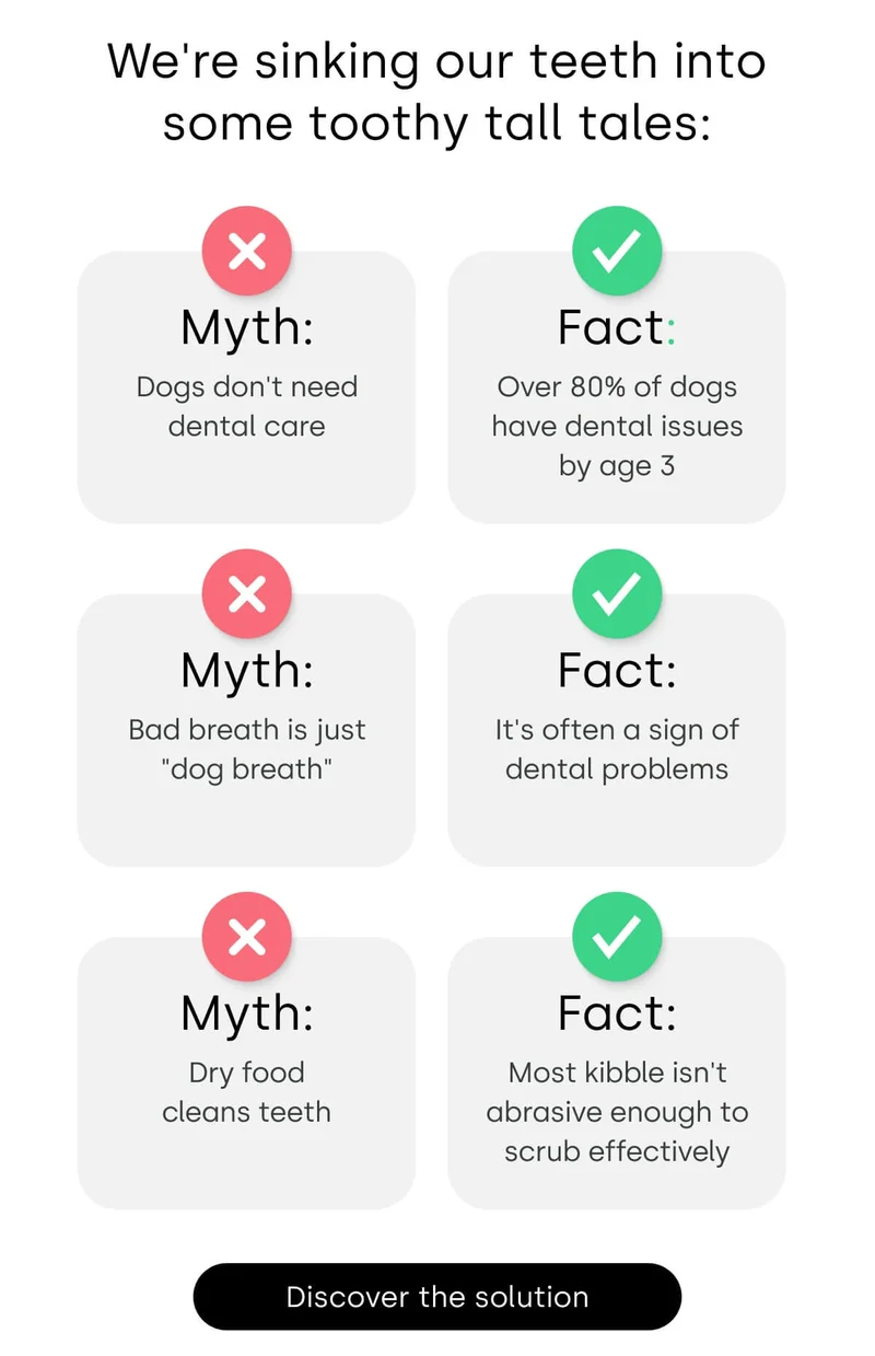 We're sinking our teeth into some toothy tall tales - Discover solution