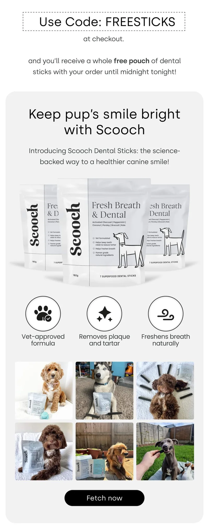 Keep pup's smile bright with Scooch - Fetch now