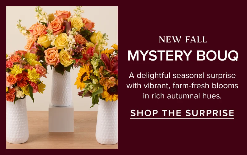 New: Fall Mystery Bouq! A delightful seasonal surprise with vibrant, farm-fresh blooms in rich autumnal hues. Shop The Surprise.