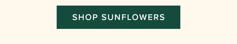 SHOP SUNFLOWERS
