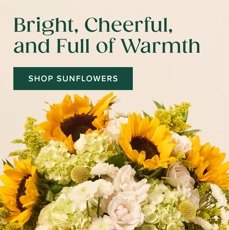 Bright, Cheerful, and Full of Warmth. Shop Sunflowers