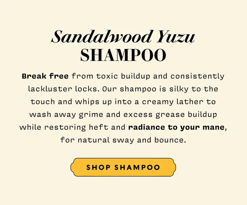 Shampoo  Break free from toxic buildup and consistently lackluster locks. Our shampoo is silky to the touch and whips up into a creamy lather to wash away grime and excess grease buildup while restoring heft and radiance to your mane, for natural sway and bounce.    SHOP SHAMPOO