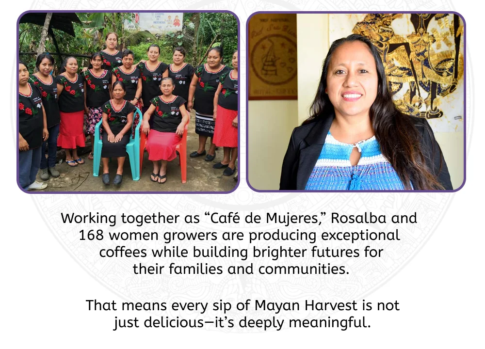 Working together as “Café de Mujeres,” Rosalba and  168 women growers are producing exceptional  coffees while building brighter futures for their families and communities. That means every sip of Mayan Harvest is not just delicious—it’s deeply meaningful.