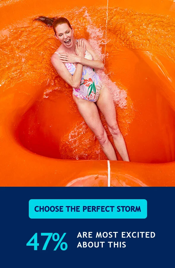 THE PERFECT STORM