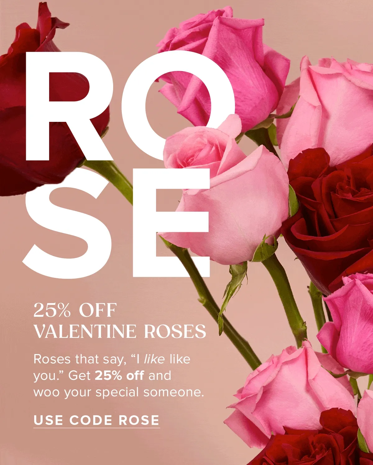 ROSE SALE: 25% OFF VALENTINE ROSES! Roses that say, “I like like you.” Get 25% off and  Woo your special someone. USE CODE ROSE