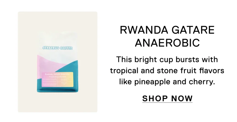 Rwanda Gatare Anaerobic. This bright cup bursts with tropical and stone fruit flavors like pineapple and cheery. Shop Now.