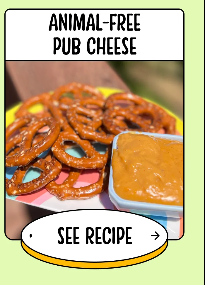 Animal-free pub cheese