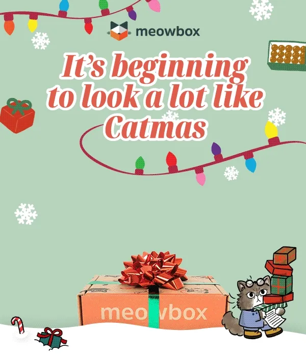 It's beginning to look a lot like Christmas. Moving image of the Mewtide Greetings meowbox opening to reveal Catmas Confections Multi-pack, Pawliday Cheer Chaser, Meowy Mantel Scratcher Cat toys and more. Black and white cat showing up behind.