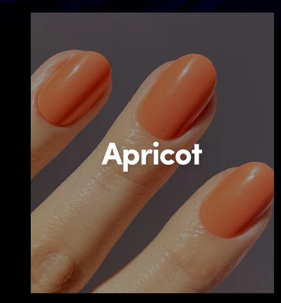 Get 25% off Apricot with the code SPOOKED