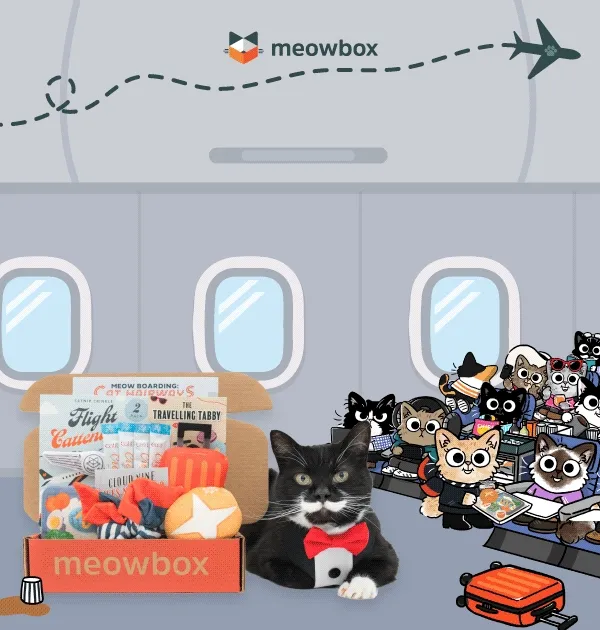 Chase your next adventure! Image of the Cat Hairways meowbox (featuring toys like the Flight Cattendant 2-pack, Meowdair Meals 2-pack, Ready-fur-Takeoff Seat Belt cat toys and more) inside an airplane setting