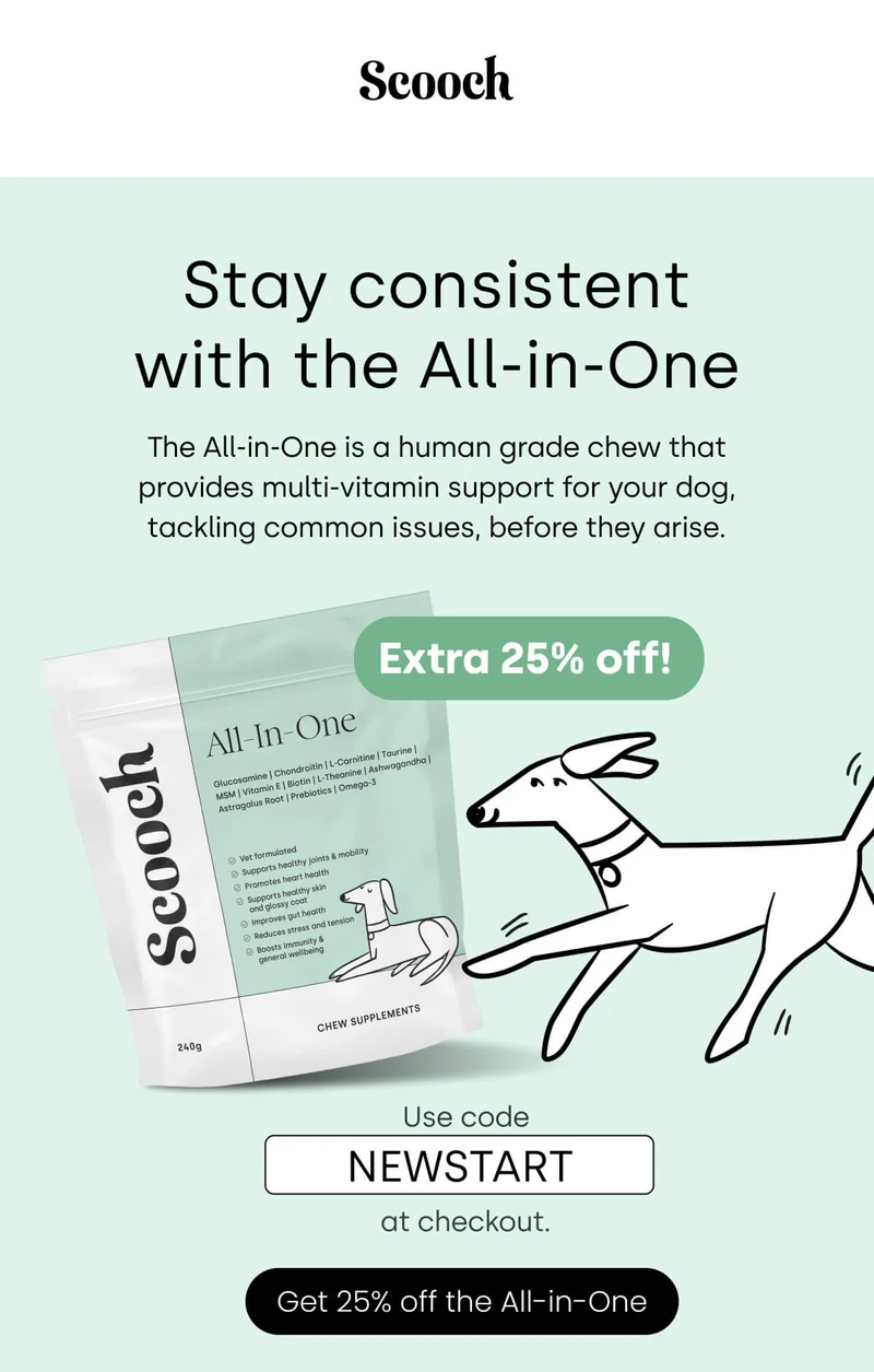 Stay consistent with the All-in-One - Get 25% off the All-in-One