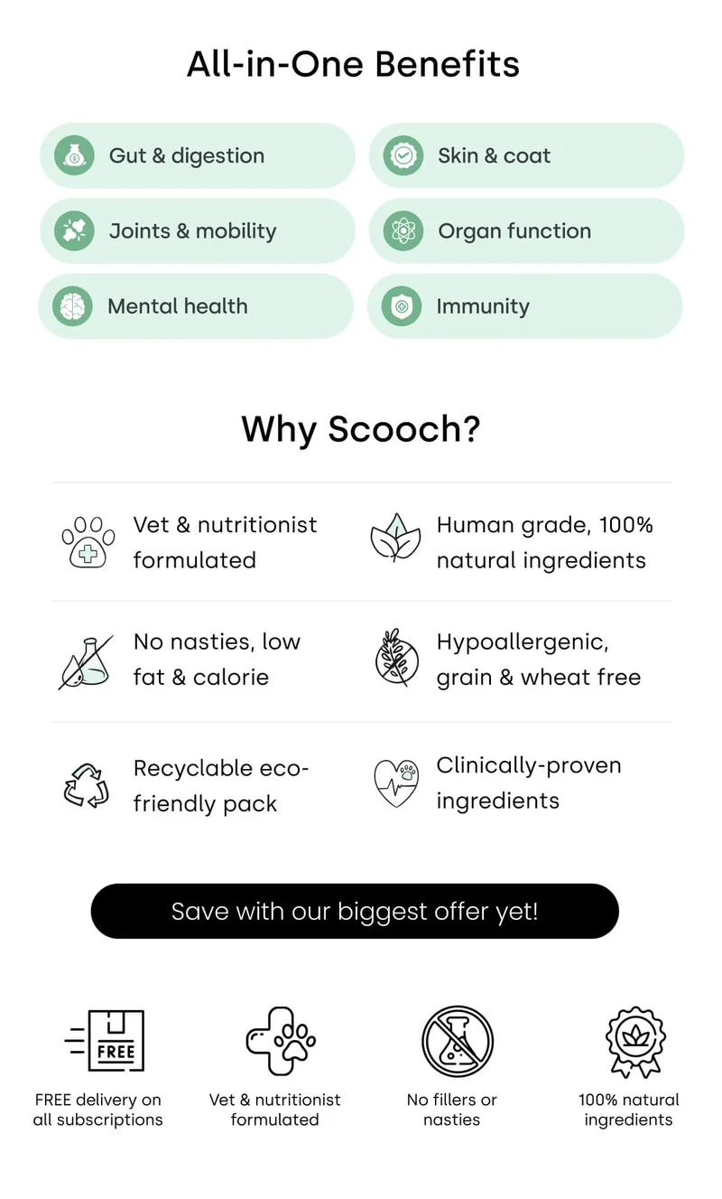 Why choose Scooch? All-in-One Benefits - Save with our biggest offer yet!