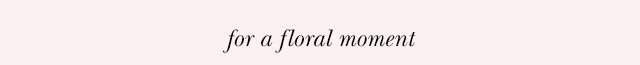 for a floral moment