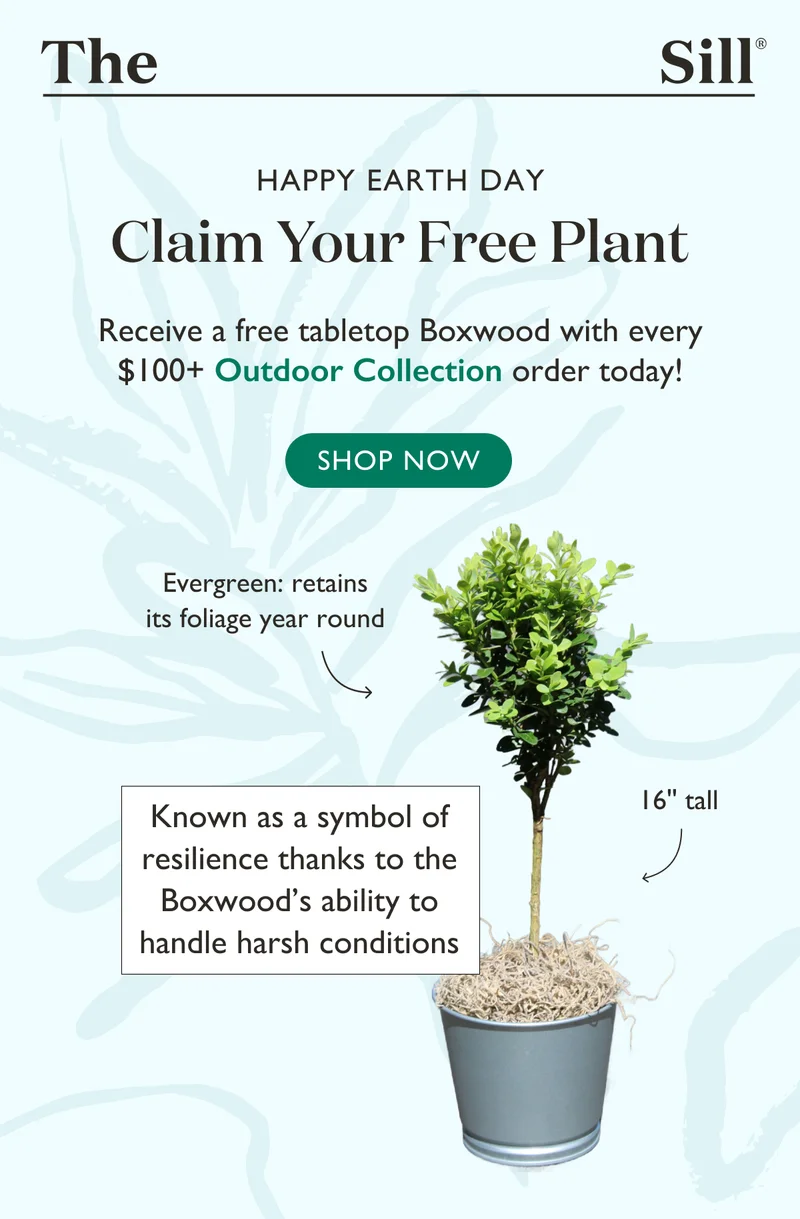 Celebrate Earth Day with a free plant! For a limited time, receive a tabletop Boxwood with every $100+ Outdoor Collection order.