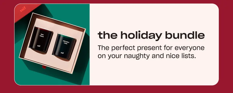 Shop the Holiday Bundle. ↗
