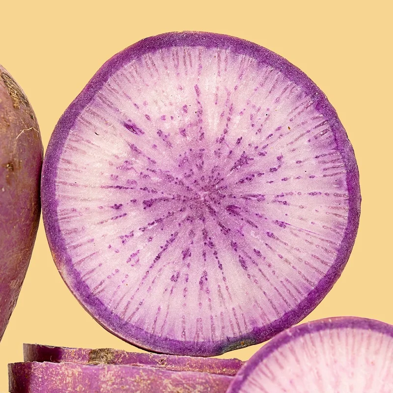 Purple Daikon Radishes