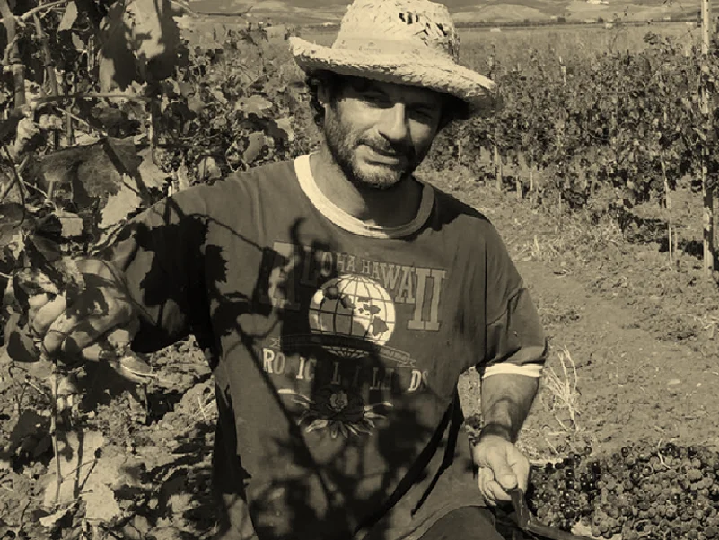 an image of a man in a straw hat standing in a field