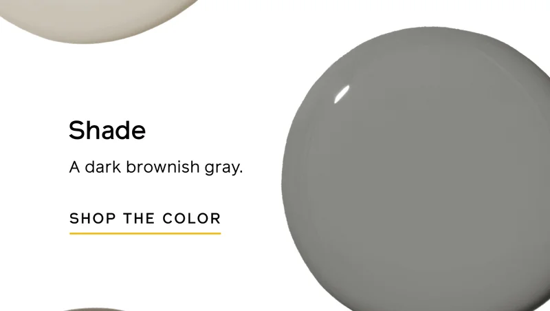 Shade: A dark brownish gray. SHOP THE COLOR