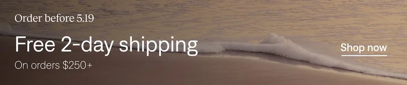 Free 2-day shipping