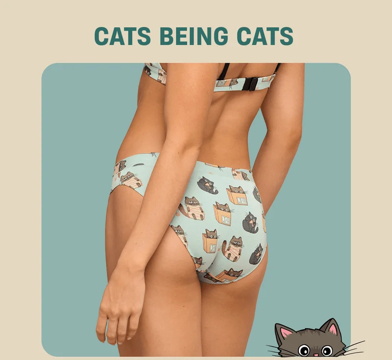 Cats being cats
