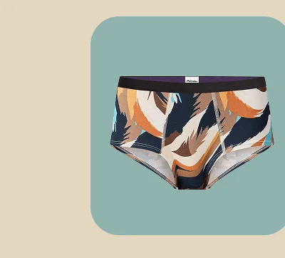 Cheeky Brief